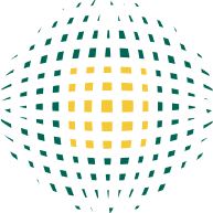 关于NG28 - NG28